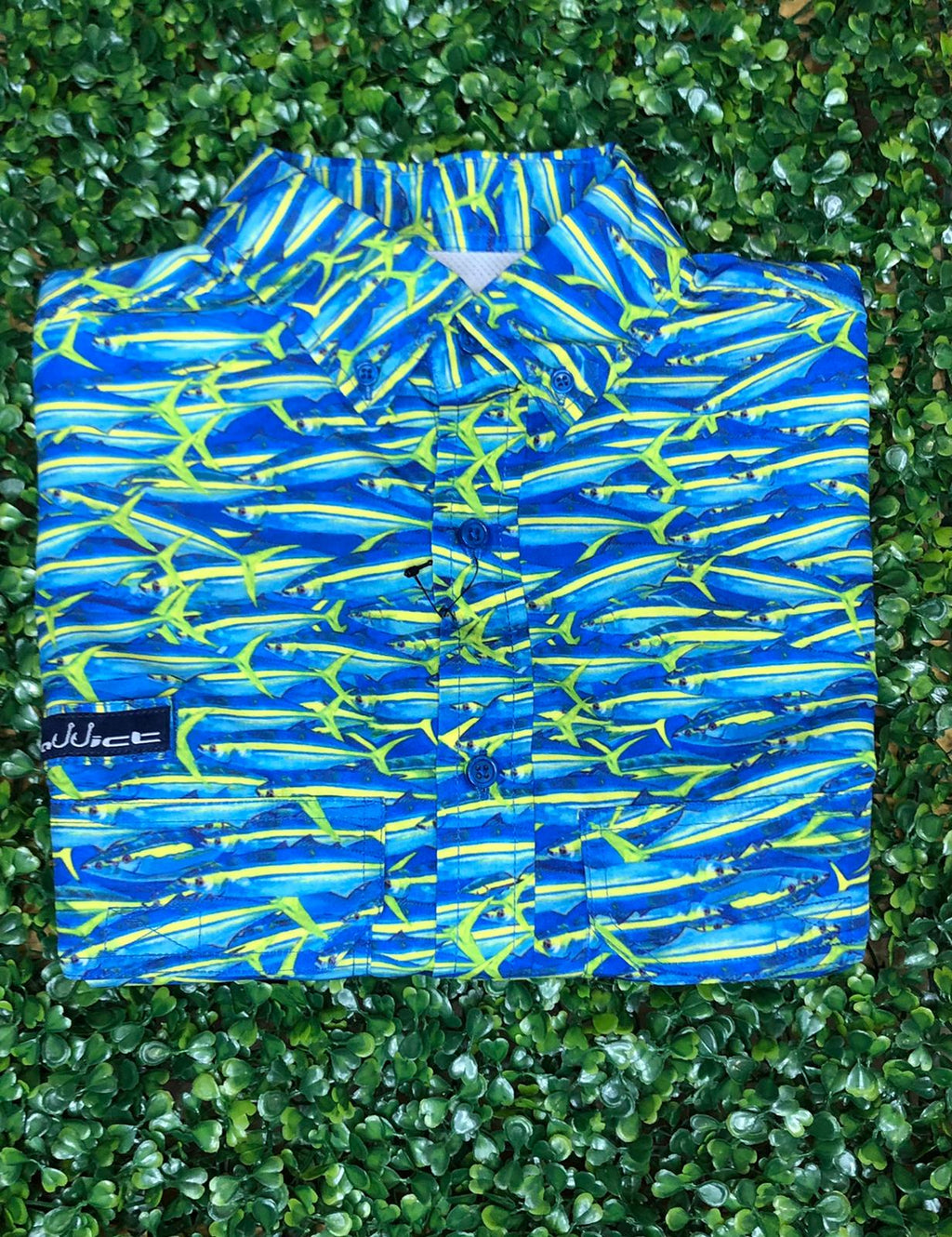 ADDICT BLUE AND YELLOW TUNA FISHES