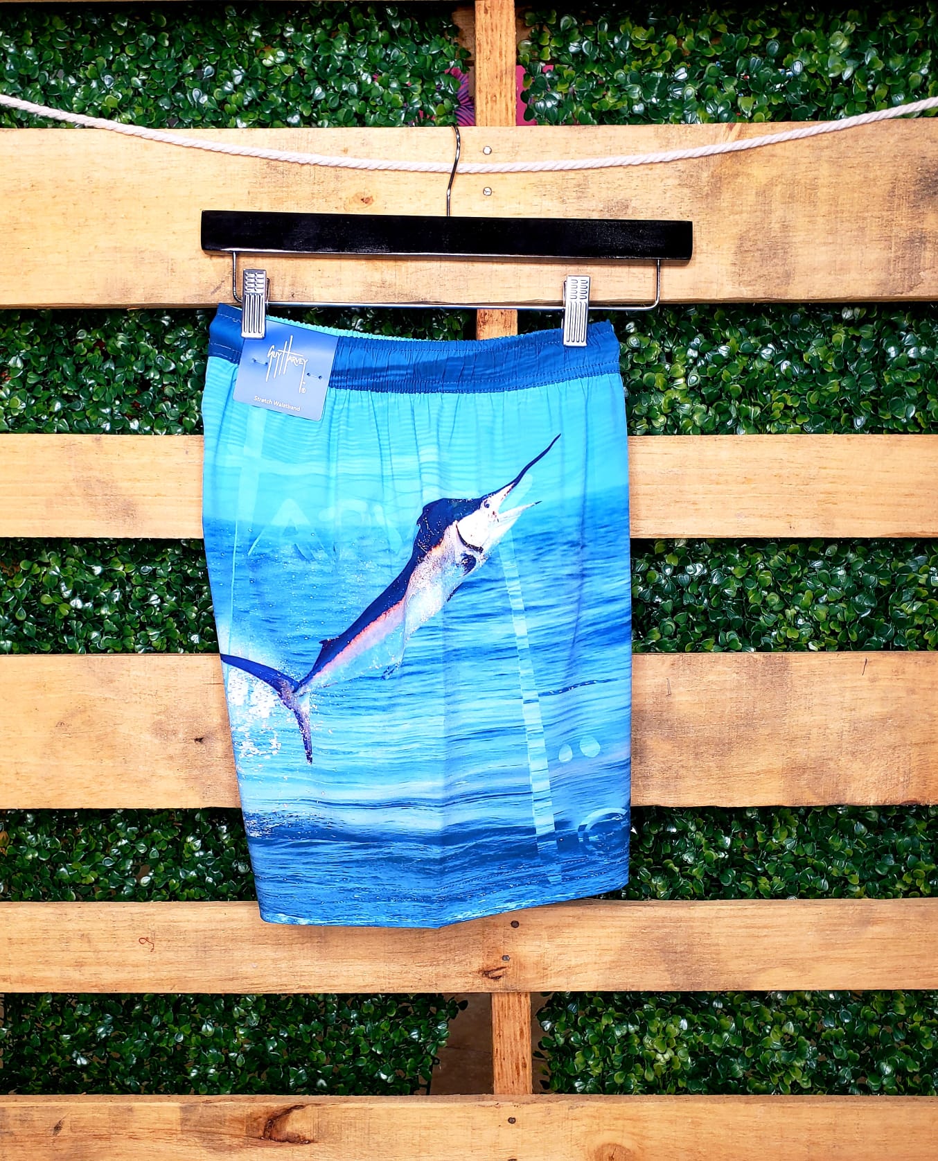 Guy Harvey GHV56036 Surf the web