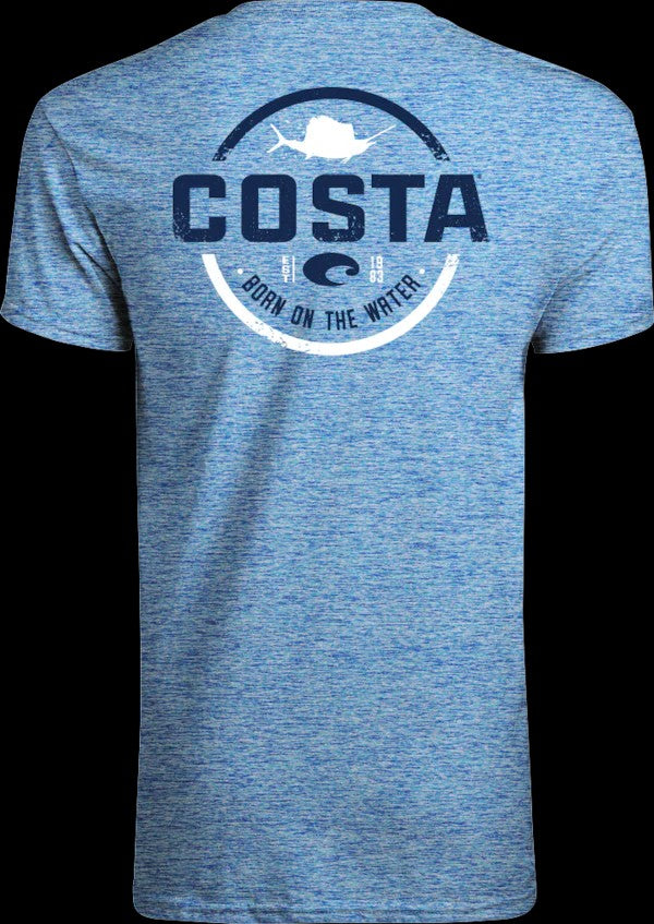 Techhinsai Cationic Royal Blue
